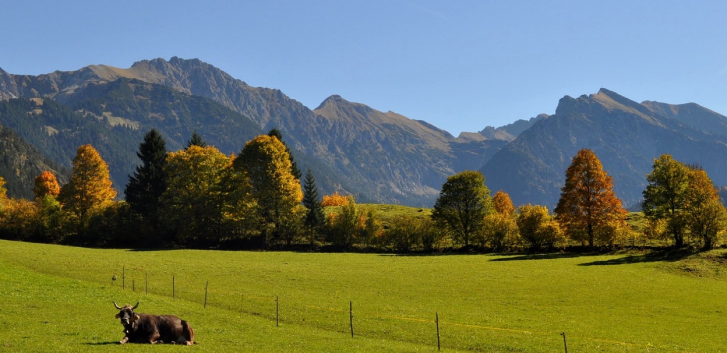 Herbst in Hinterstein
