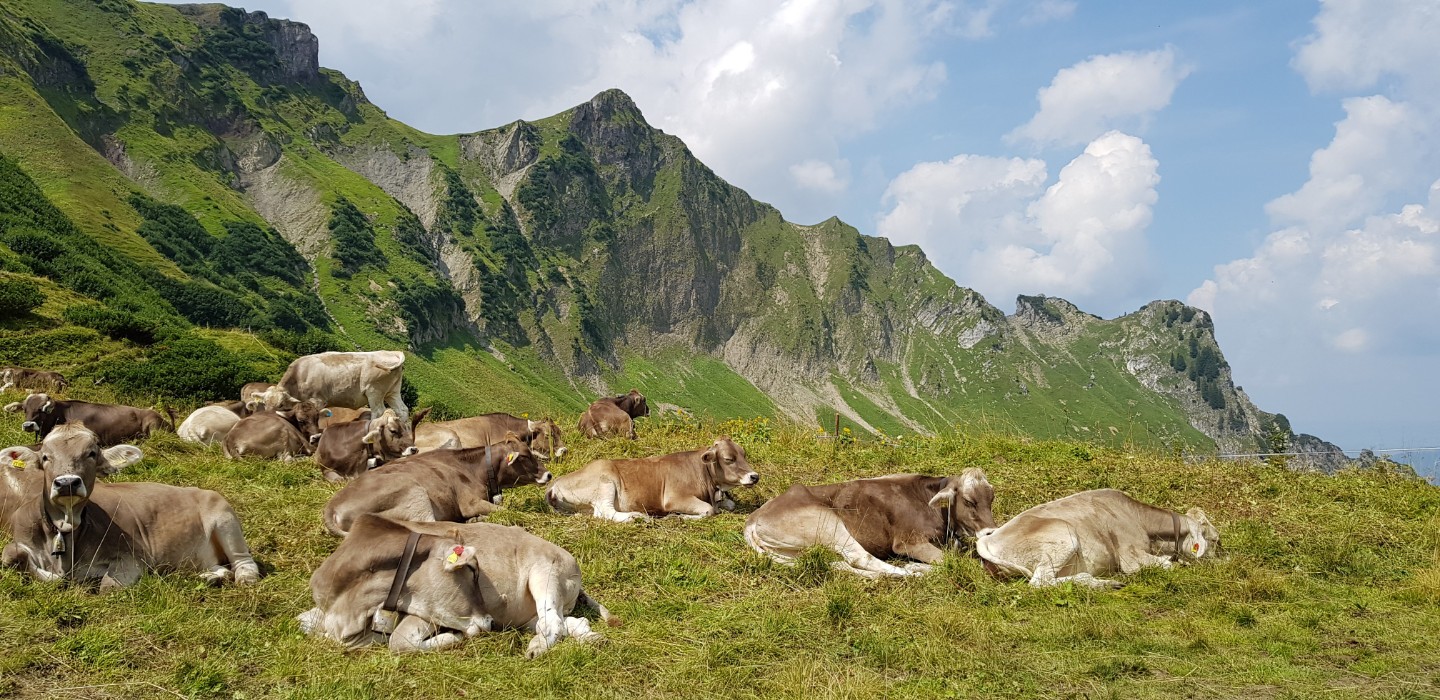 Hinterstein im Allgäu