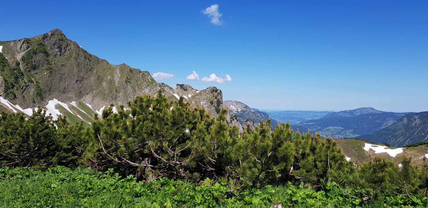 Hinterstein im Allgäu
